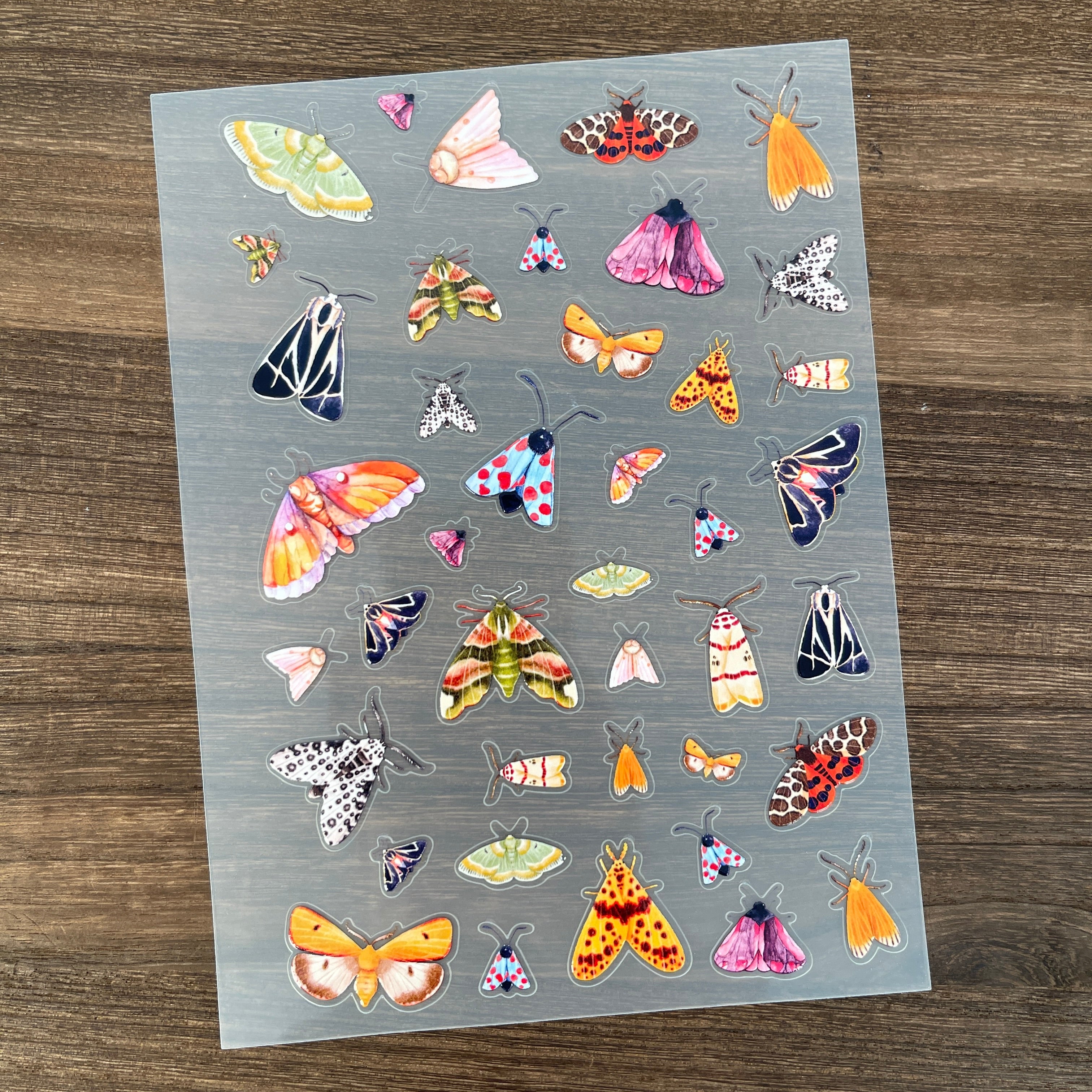 3D Moth PET Sticker 1 Pcs