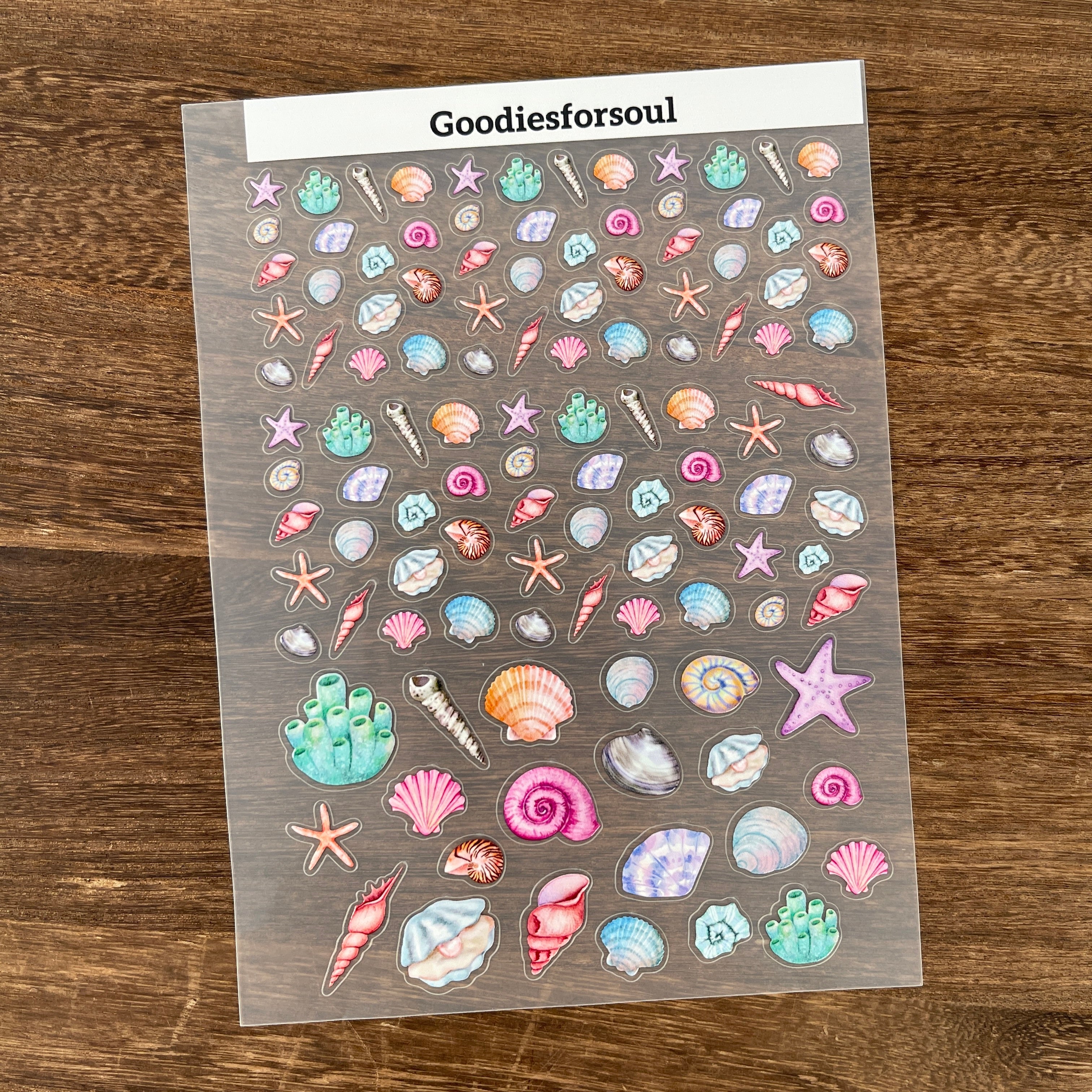 3D Shell PET Sticker 1 Pcs