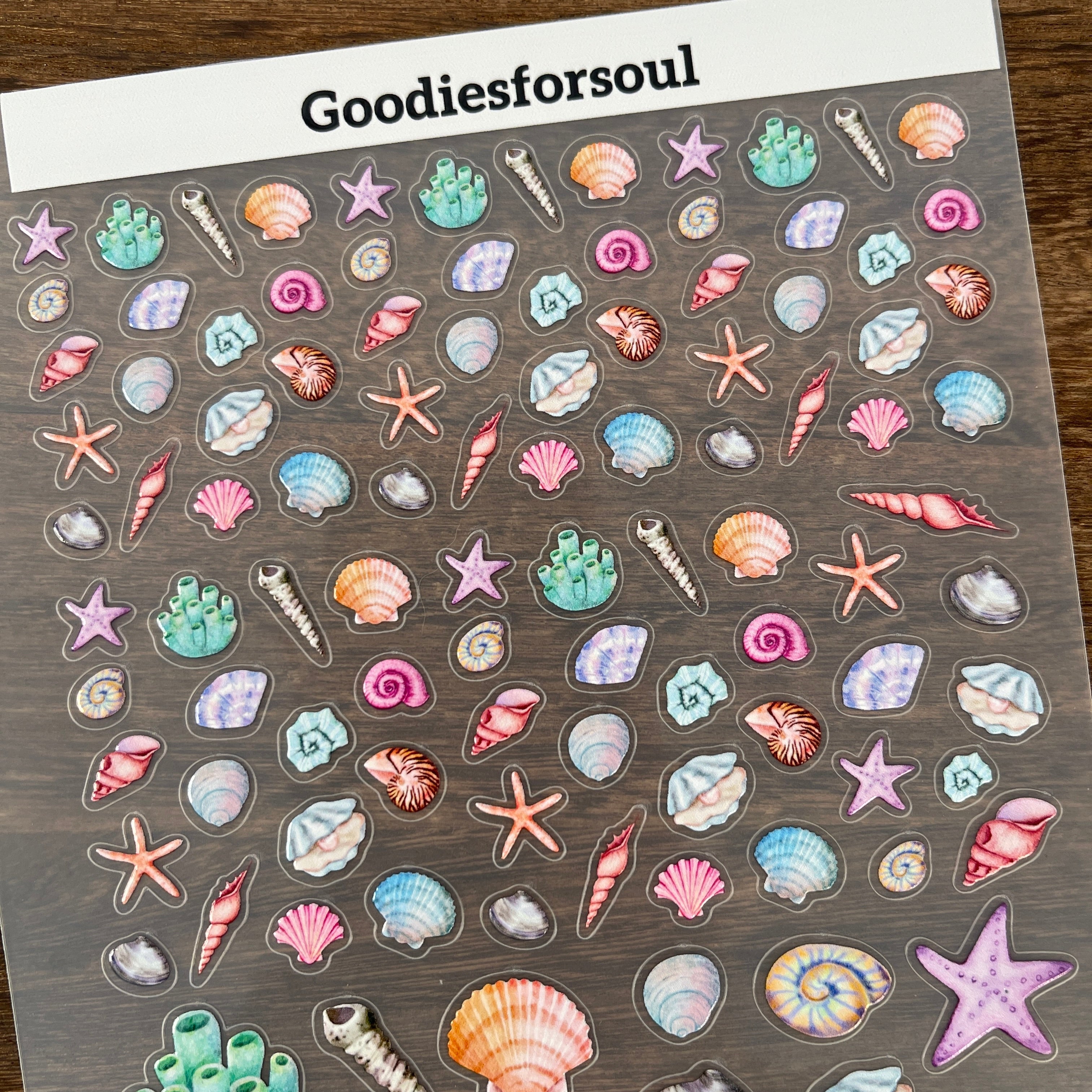 3D Shell PET Sticker 1 Pcs