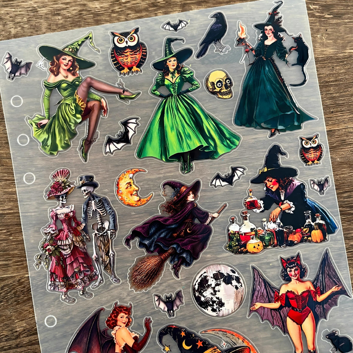 3D Old Fashion Vintage Witch PET Sticker 1 Pcs