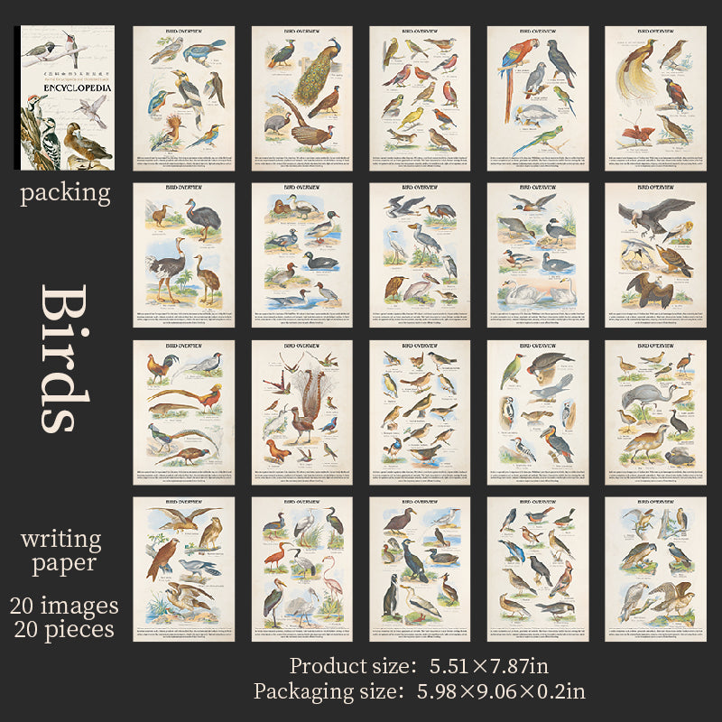 1027 Encyclopedia sticker book -20Pcs each pack