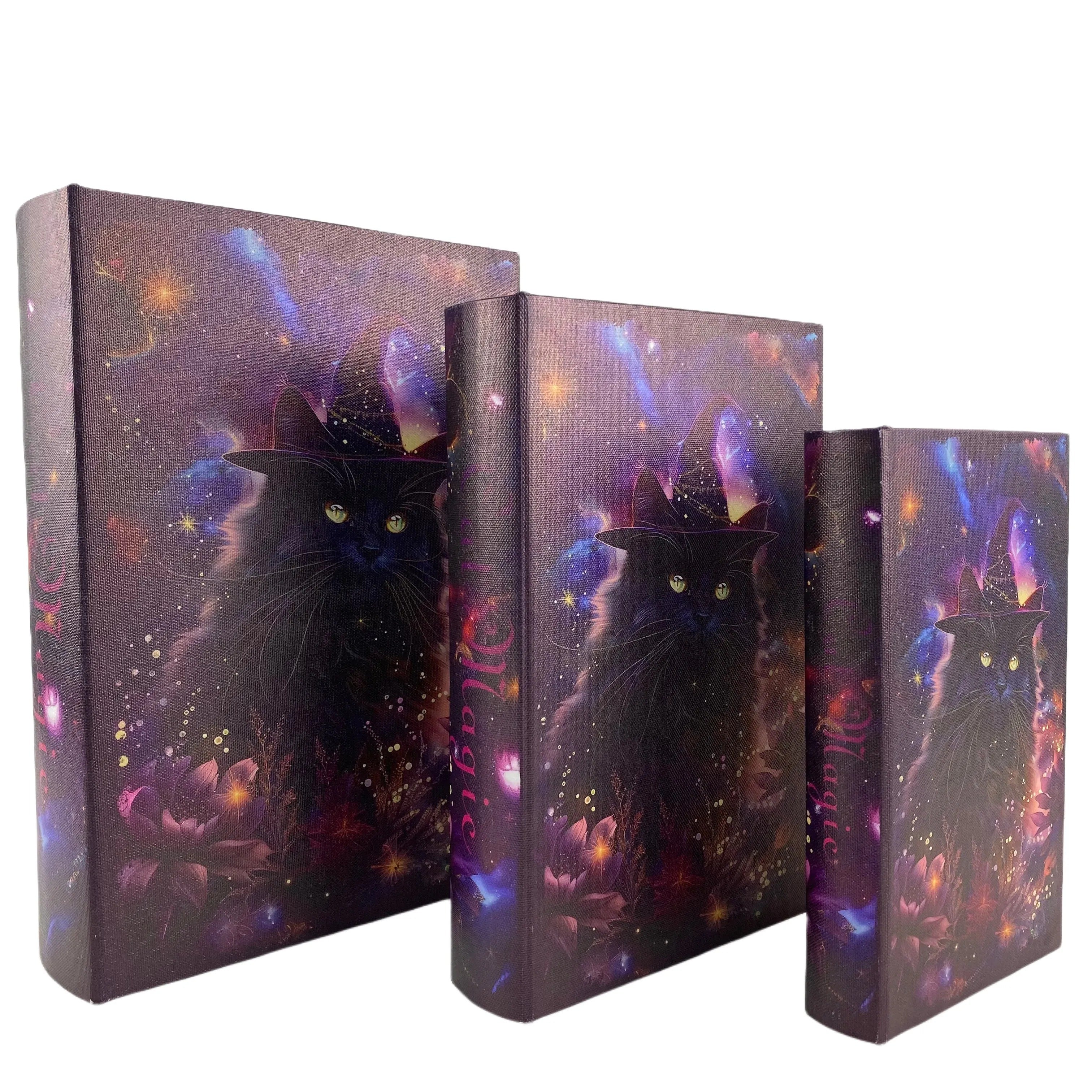 G22- Black magic cat book box