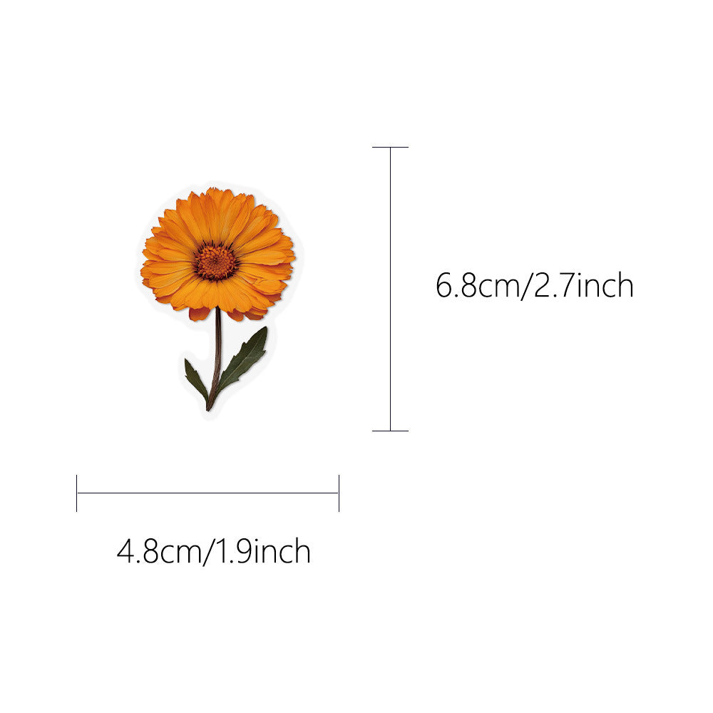 1016 50 Plant specimens PET sticker