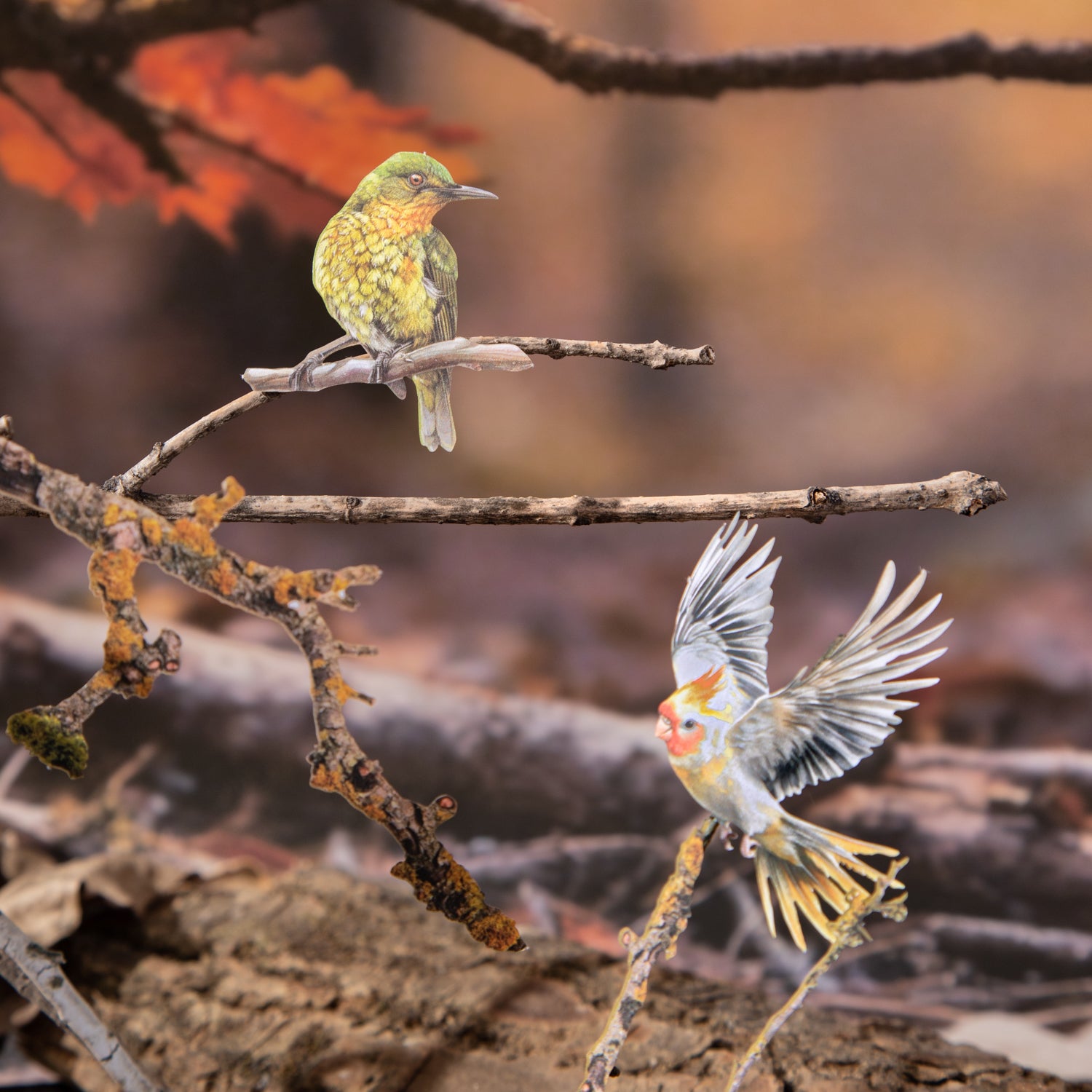 1225 Forest bird cardstock sticker -20Pcs each pack