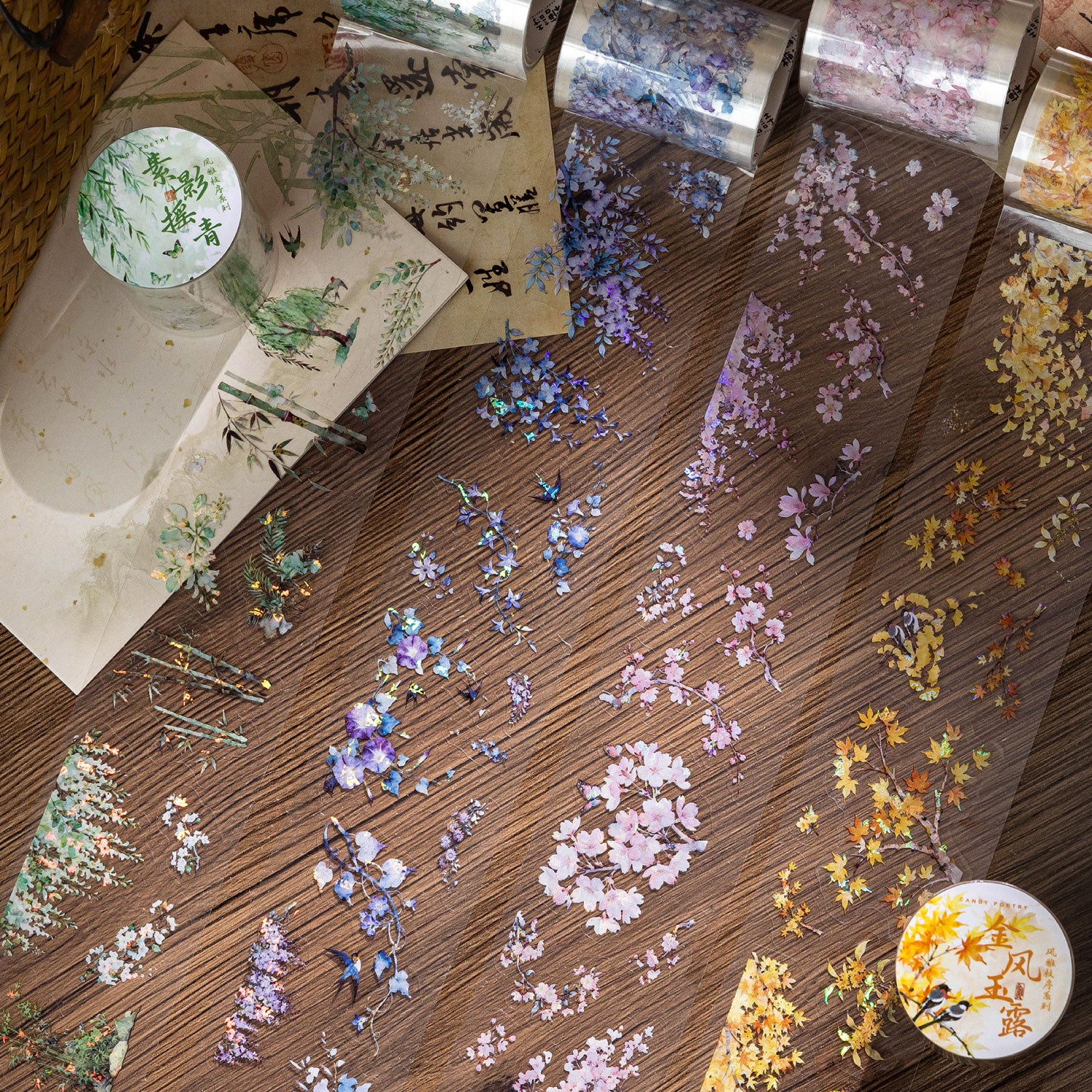 260124 Elegant Branch Sequence PET Tape -5cm*2m