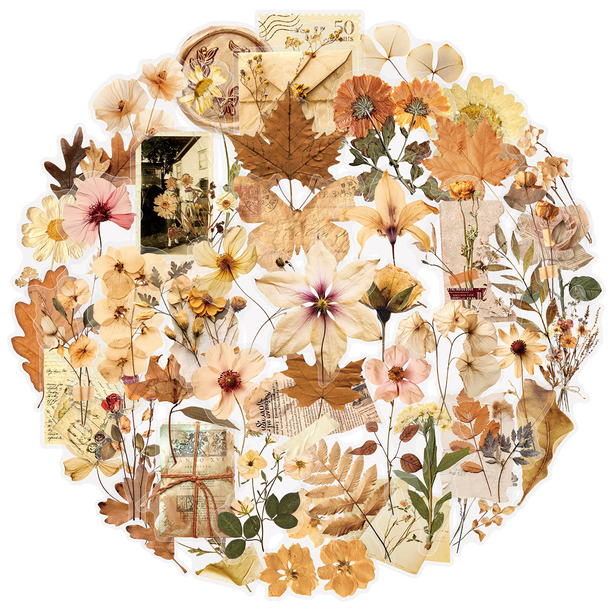 0907 50 Dried flowers and leaves PET sticker