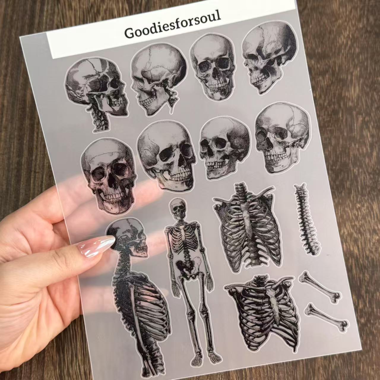 A5 Skeleton PET sticker 1pcs