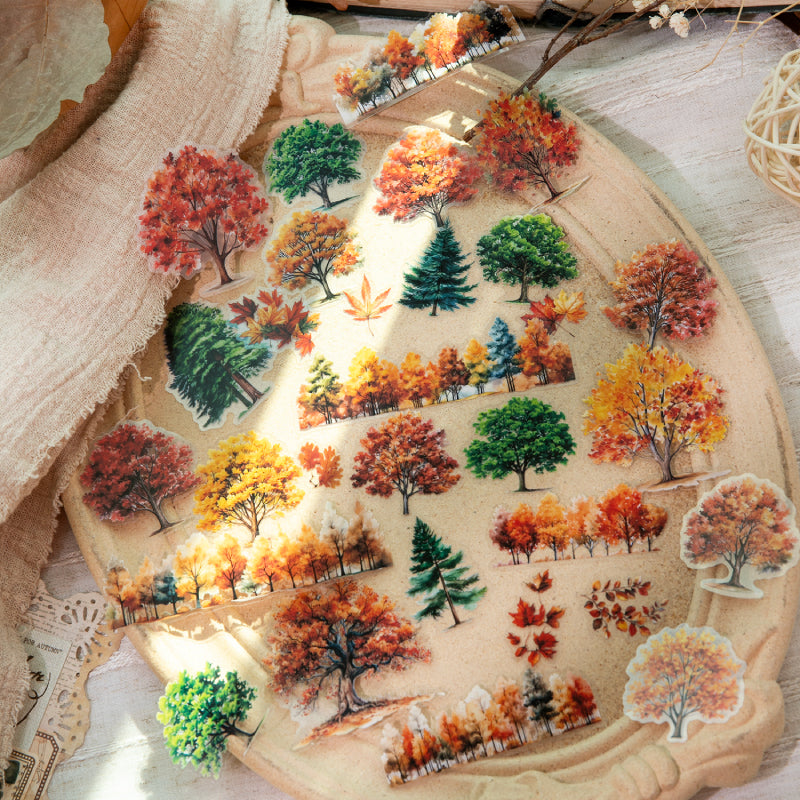 1104 Autumn PET sticker -30Pcs each pack