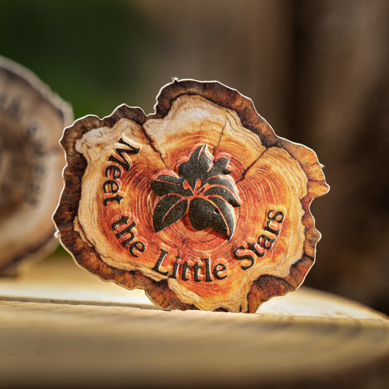 1210 Wood grain fragments cardstock sticker -25Pcs each pack