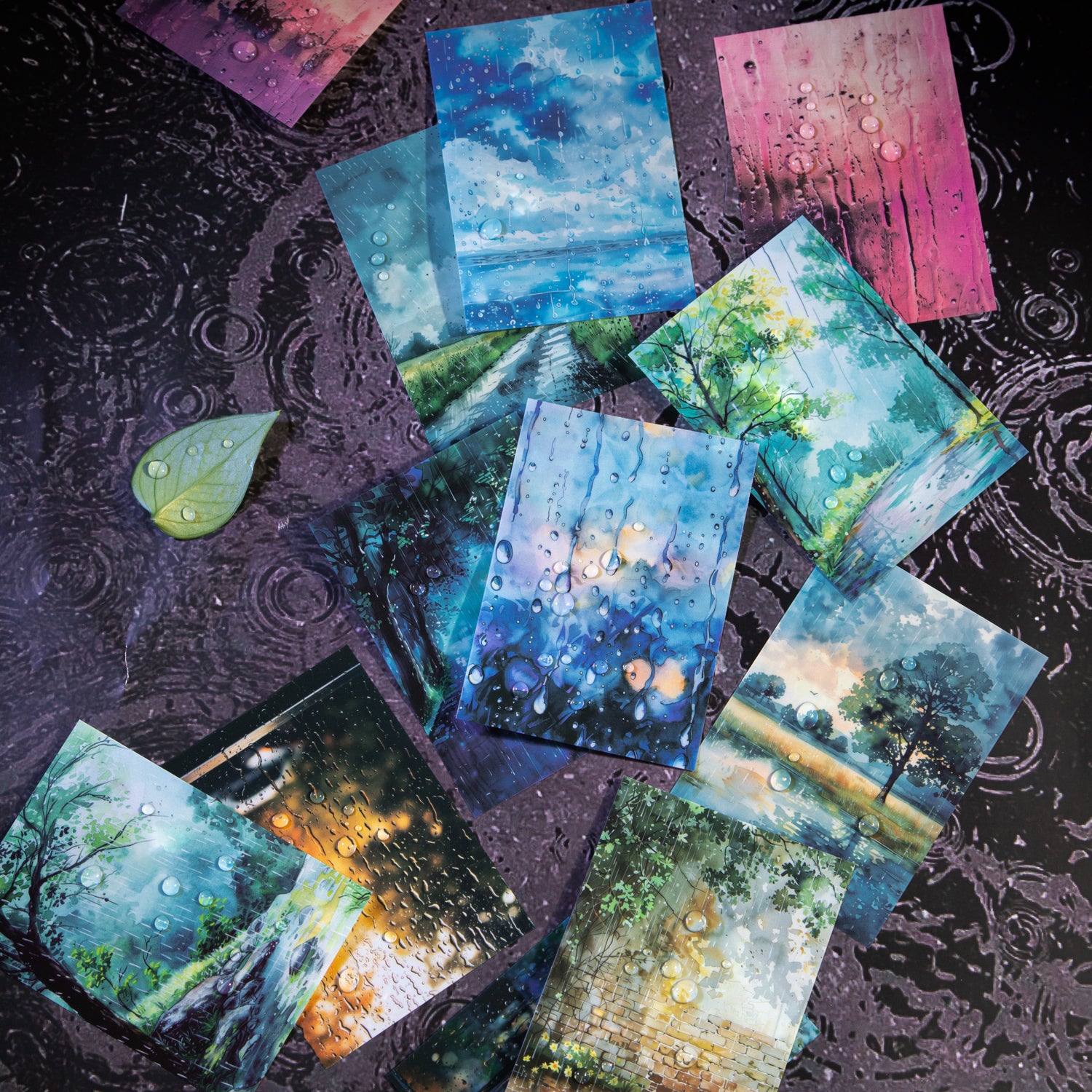 0529 Rainy season PET Sticker - 10Pcs each pack