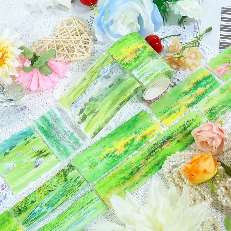 260113 T-491 Grassland Tape -7cm*2m