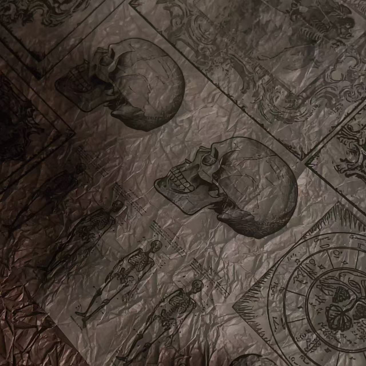 1029 A4 Dark Skull Film 1 pcs