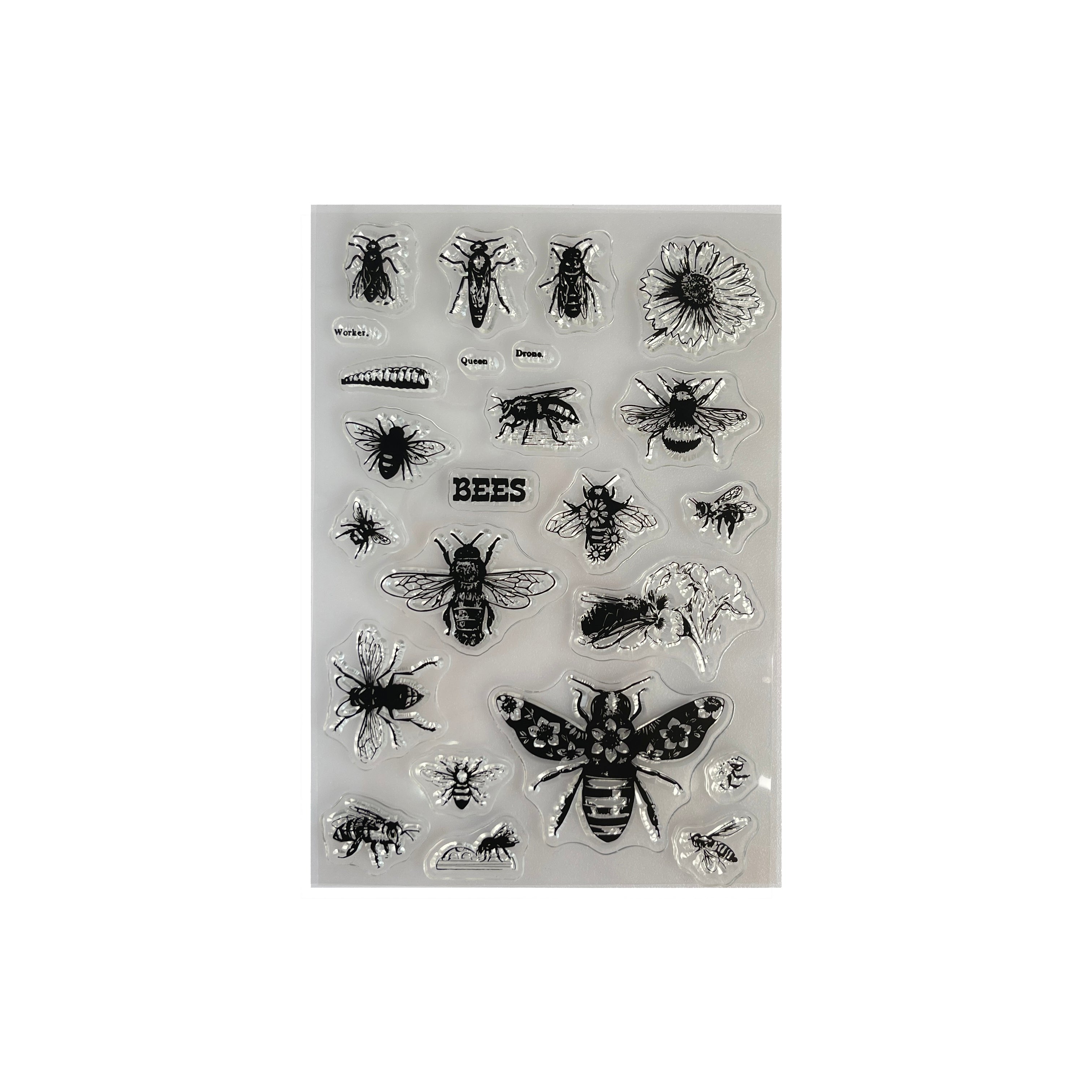 0630 Insect Clear Stamp 15cm*10cm