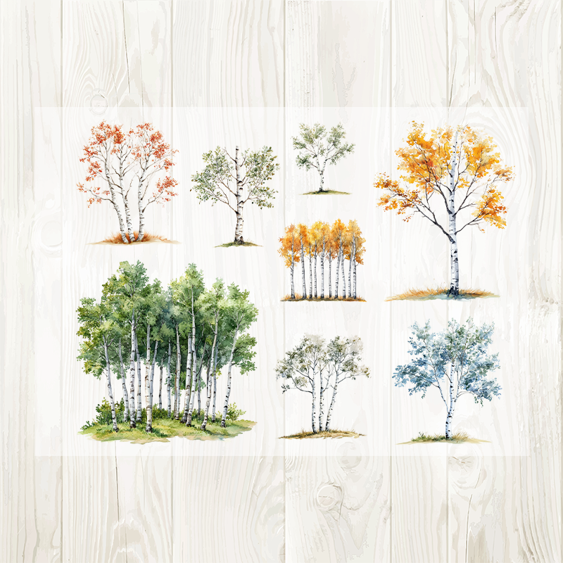 A4 Birch matte PET pre-cut large sticker 1 pack 2 sheets