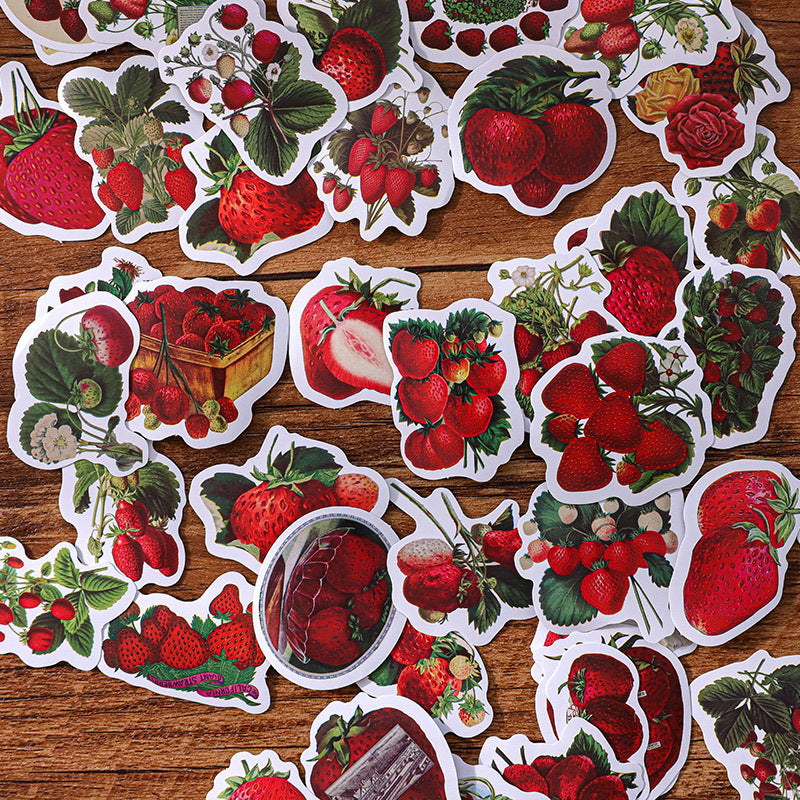 0402 Everything wakes up Series Paper Sticker-50Pcs each pack