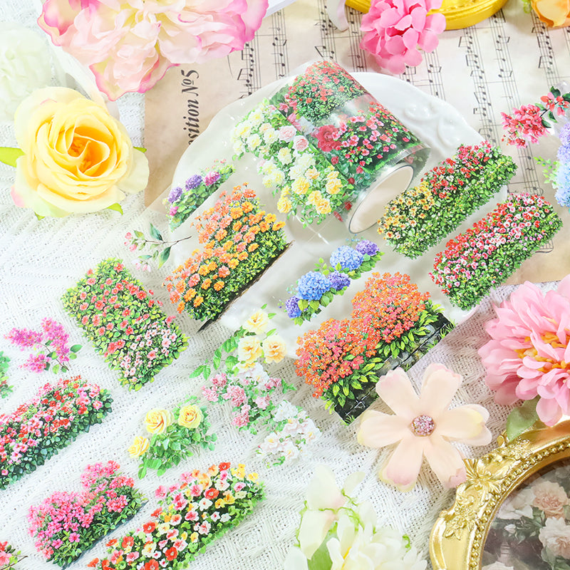 260115 T-503 Seeking Wilderness Tape -6cm*2m