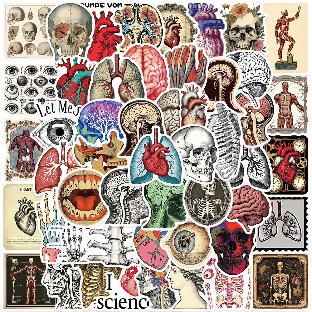 0101 Retro scientific anatomy solid sticker with white border -50Pcs each pack
