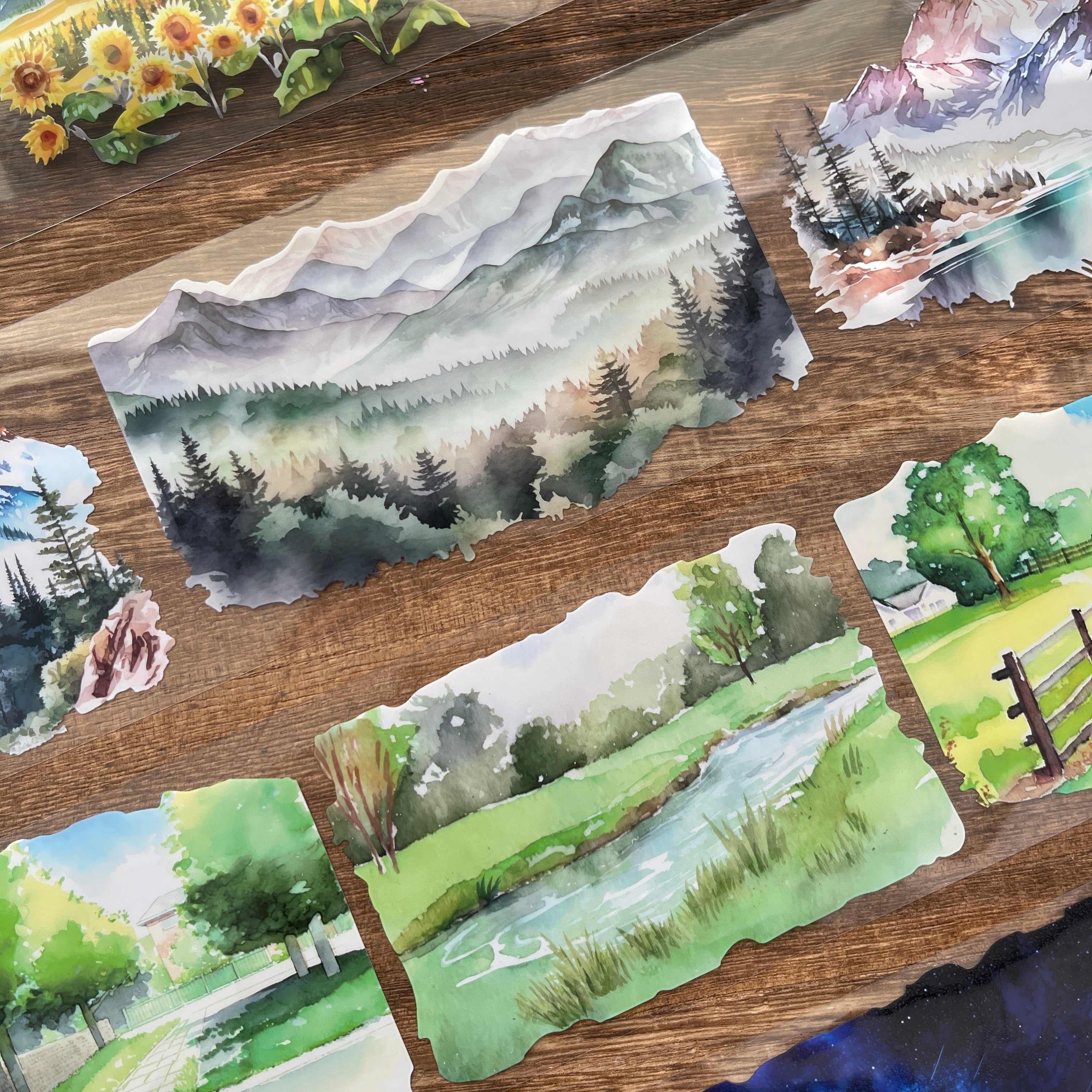 260115 Sunflowers and Scenery PET Tape Set 4 rolls 8cm*2m