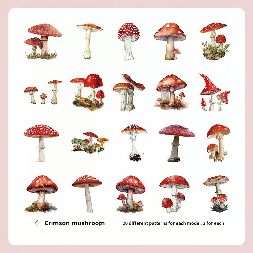 0305 Romantic flower language Series Stickers -40Pcs each pack