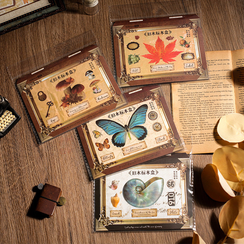 0403 Old wooden specimen box Series PET Sticker -1Pcs each pack