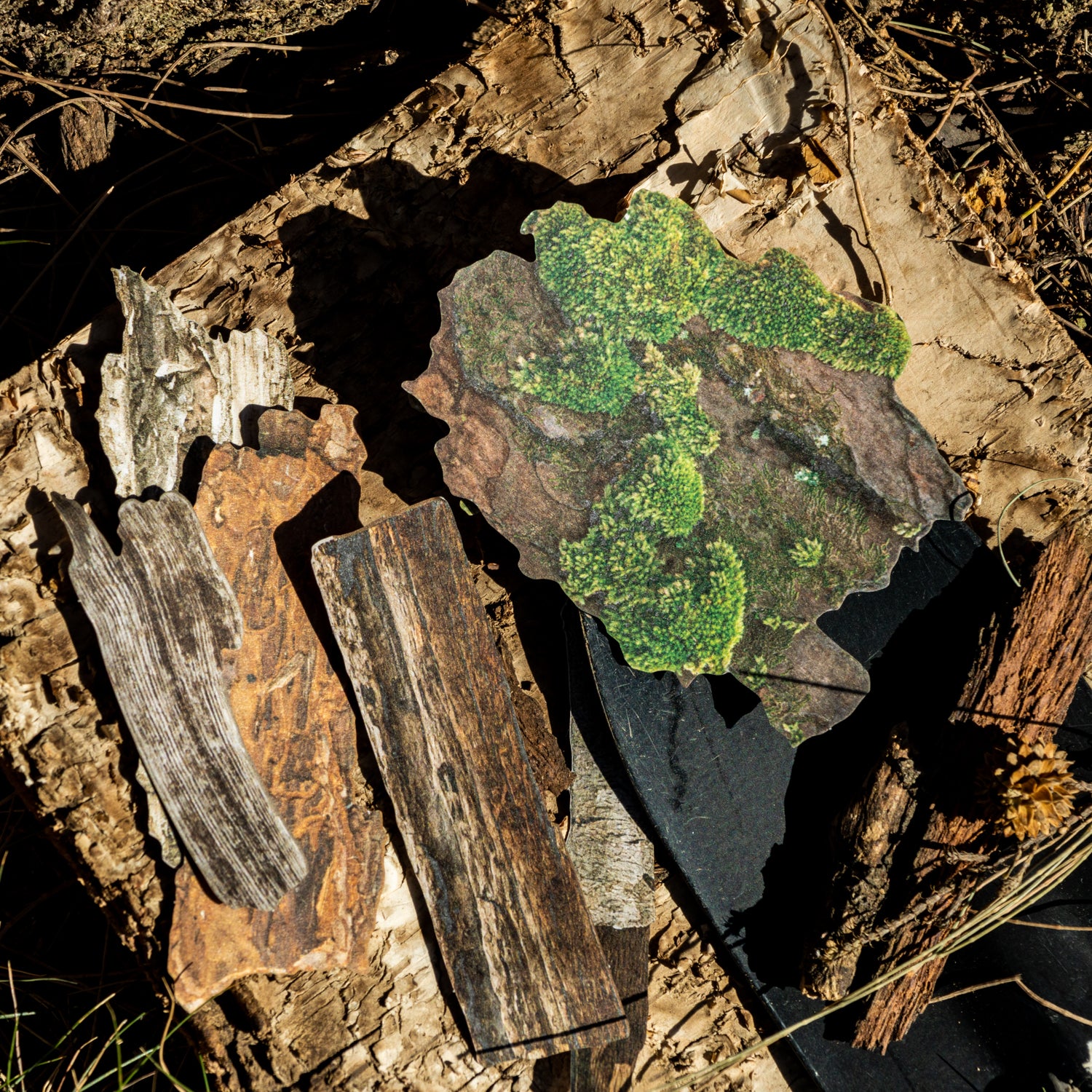 1129 Nature collection sticker -20Pcs each pack