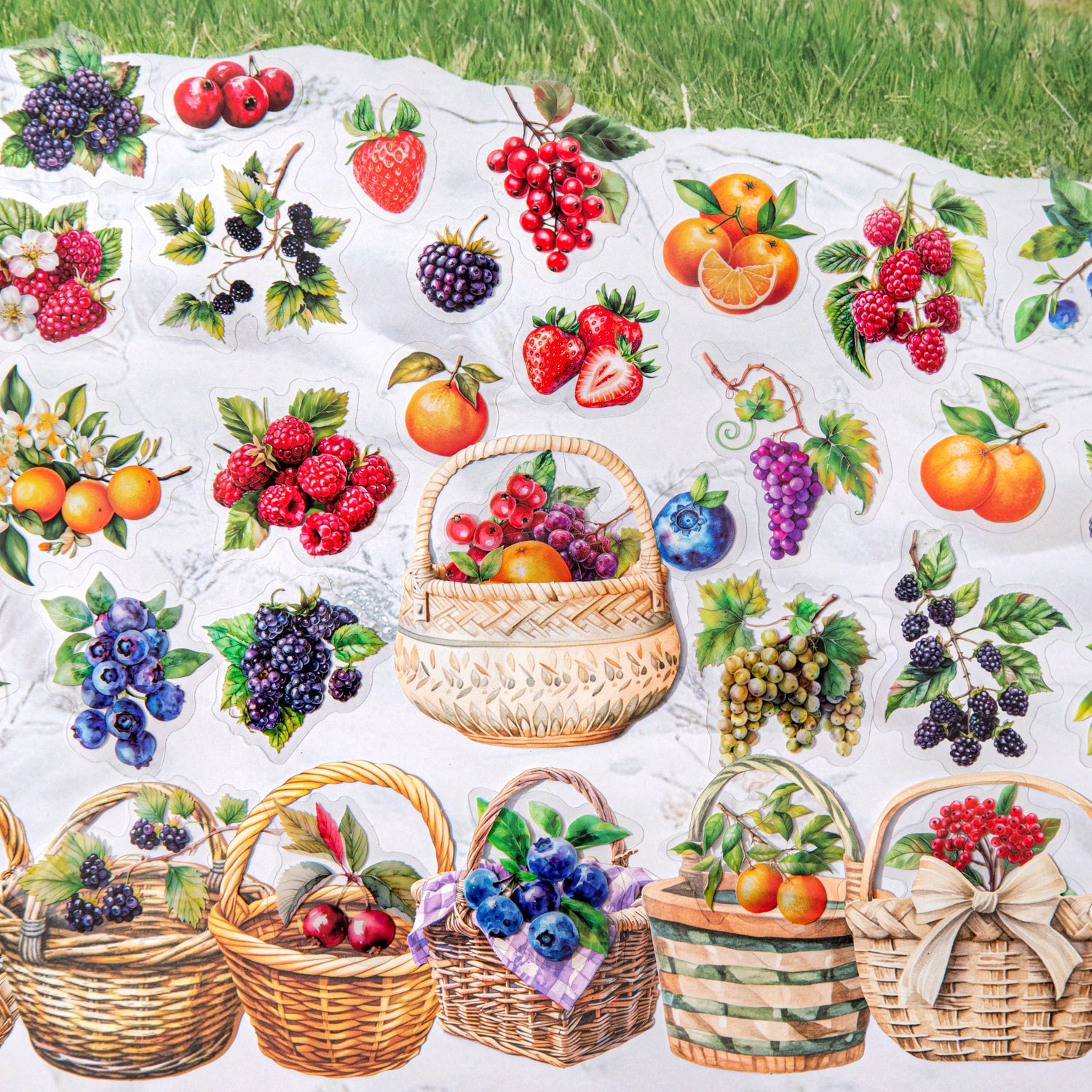 1014 Picking fruits PET & Solid Sticker -15Pcs each pack