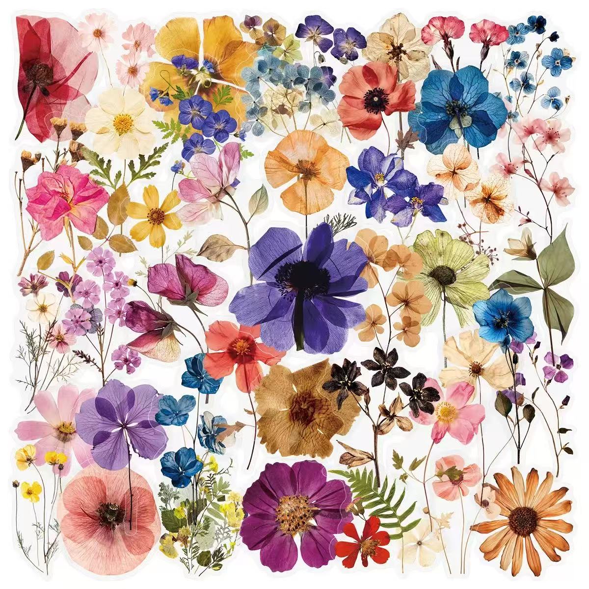 0605 50 Flowers and plants PET sticker