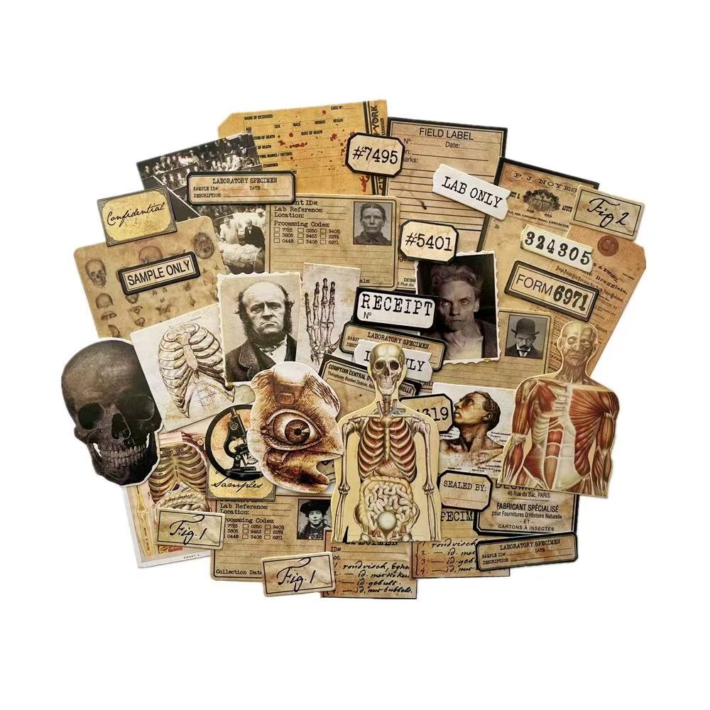 260124 Dark human anatomy card stock paper -43Pcs each pack