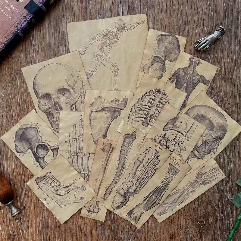 0618 Handmade Coffee Dyed Medical Pattern Paper -17Pcs each pack