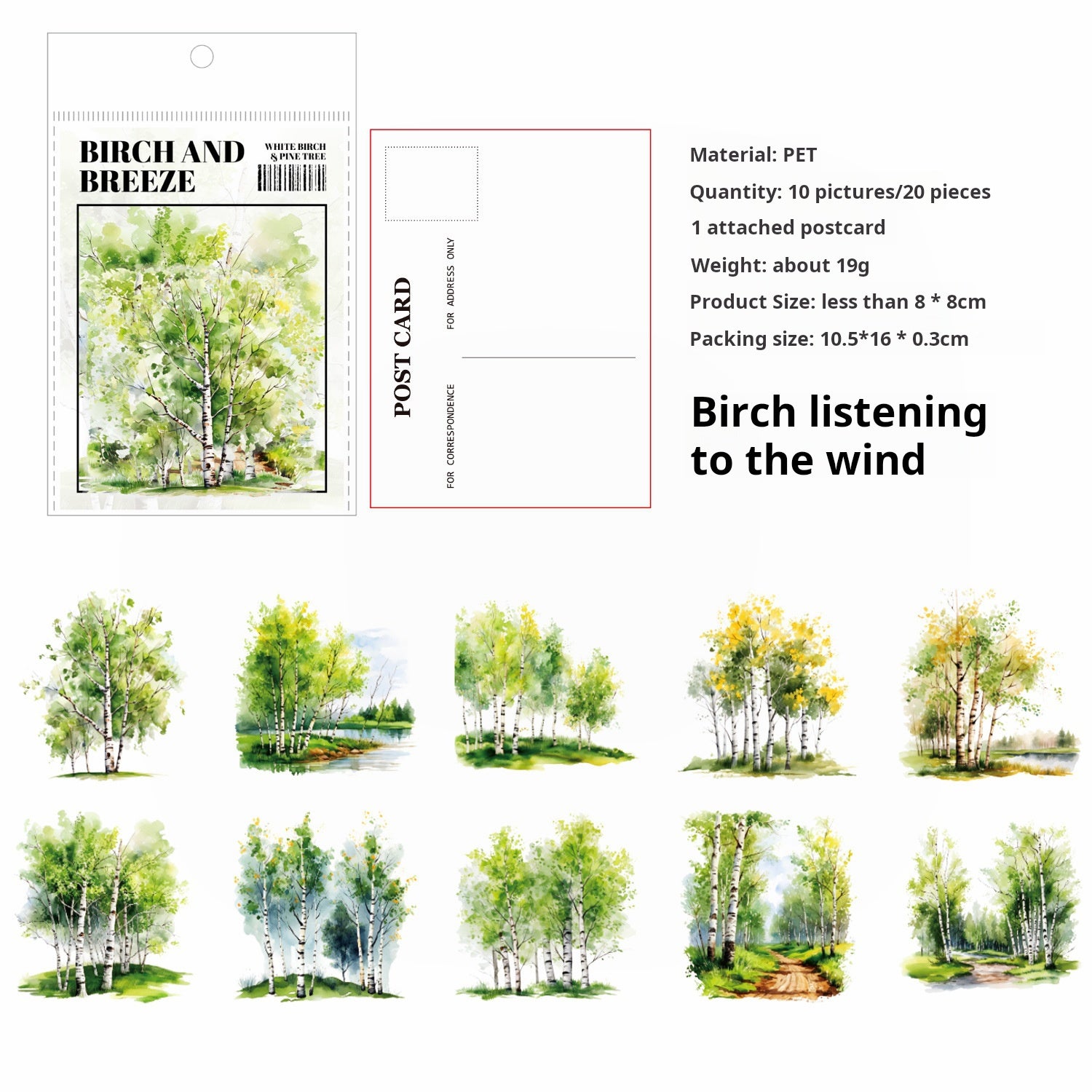 0520 White birch and pine tree PET Sticker -30Pcs each pack