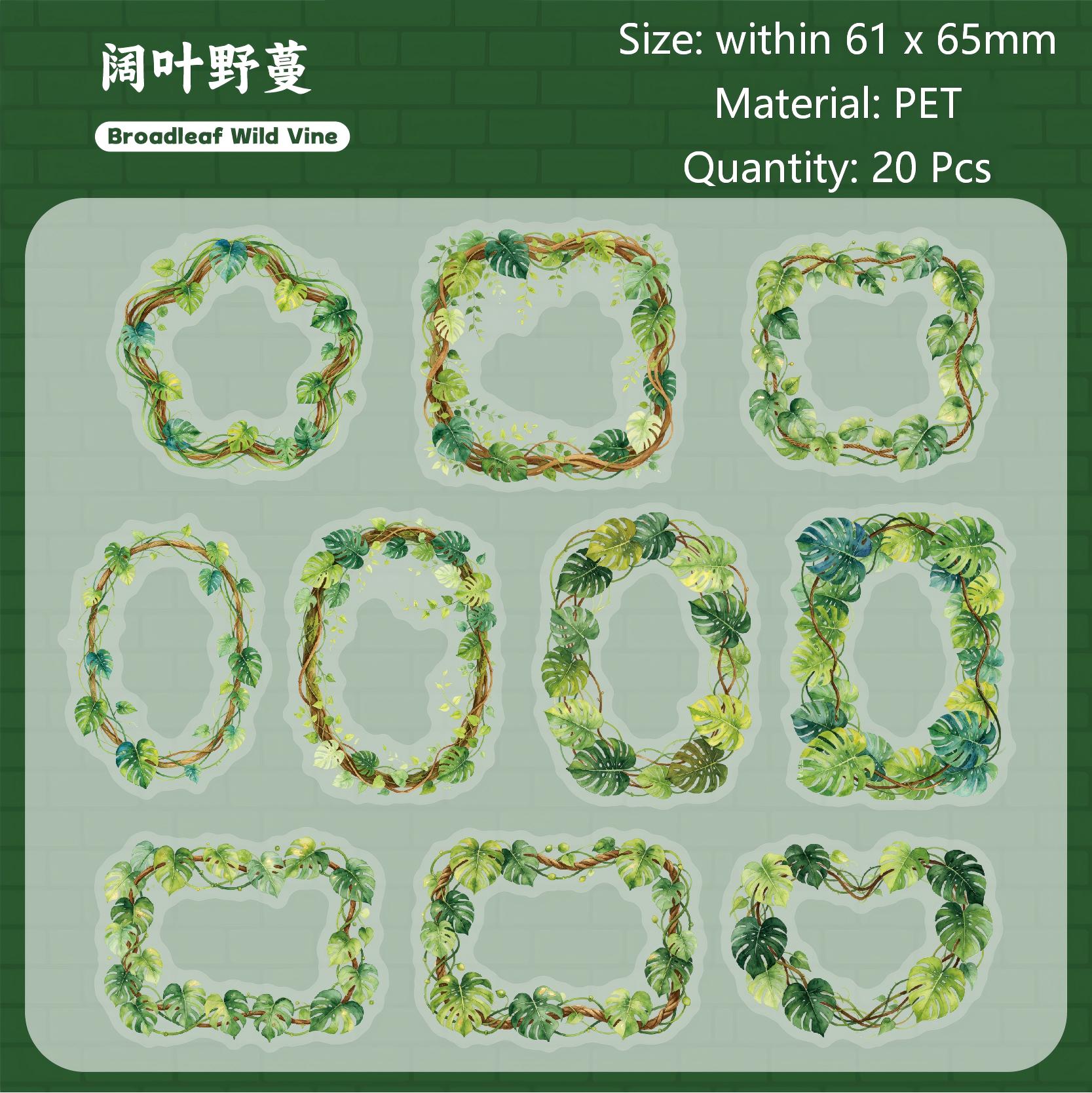 Vine Frame PET Stickers -20Pcs each pack