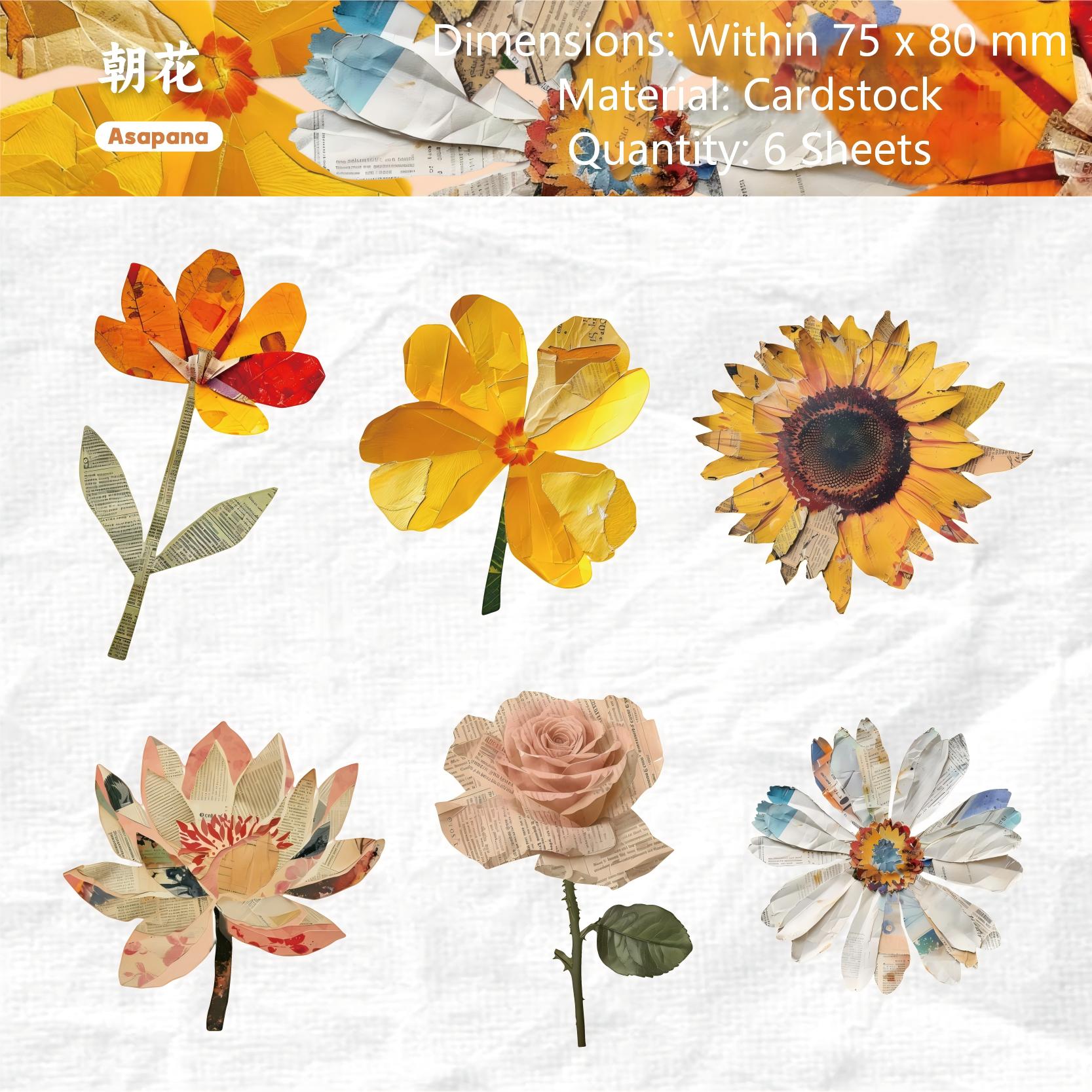 Nature Magazine cardstock Sticker -6Pcs each pack