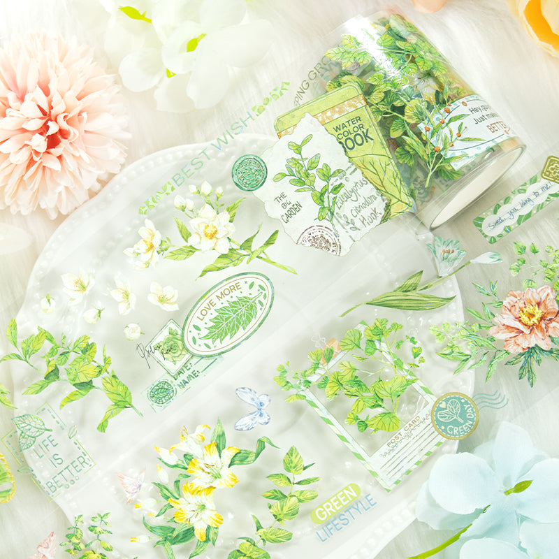 260113 T-493 Spring Tape -6cm*2m