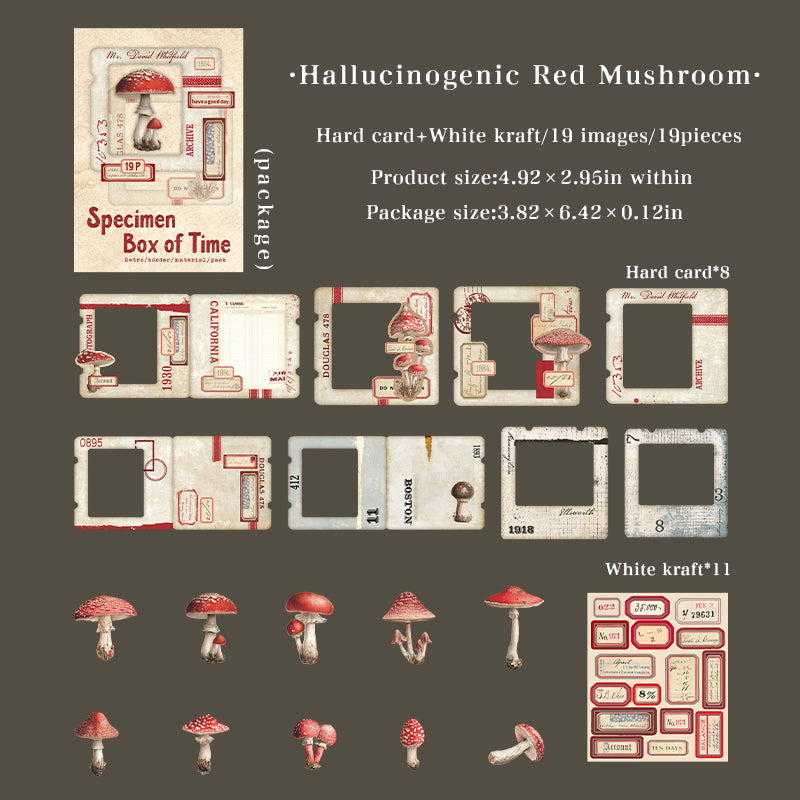 1205 Vintage specimen Mixed pack -19Pcs each pack