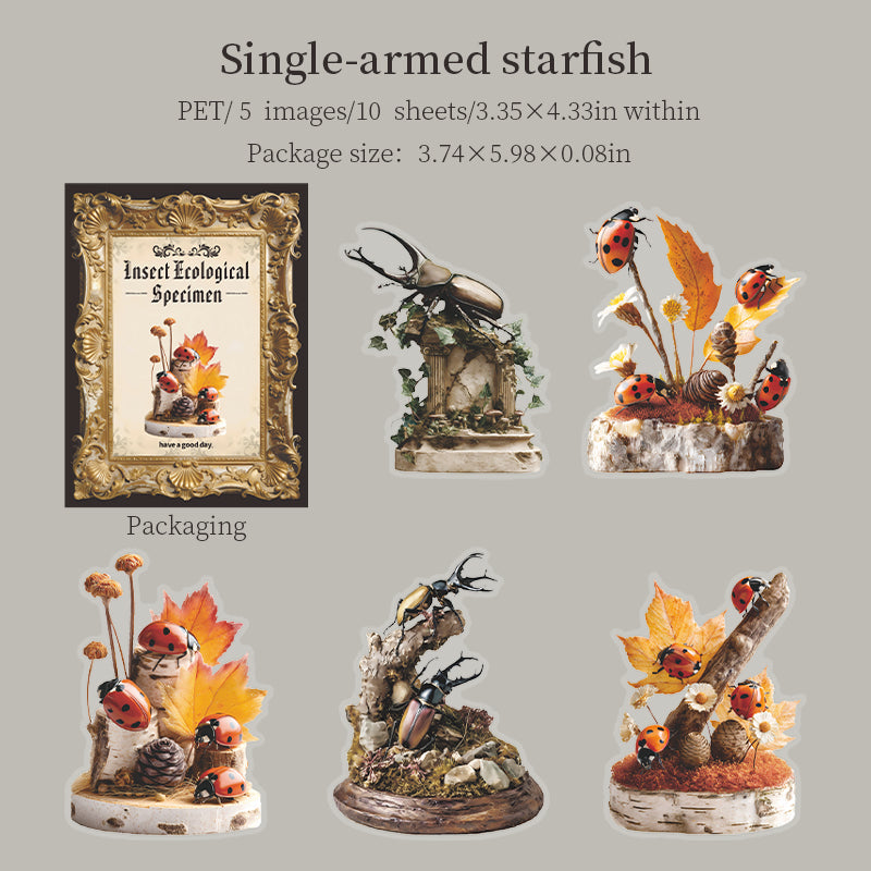 260120 Lnsect ecological specimen PET sticker -10Pcs each pack