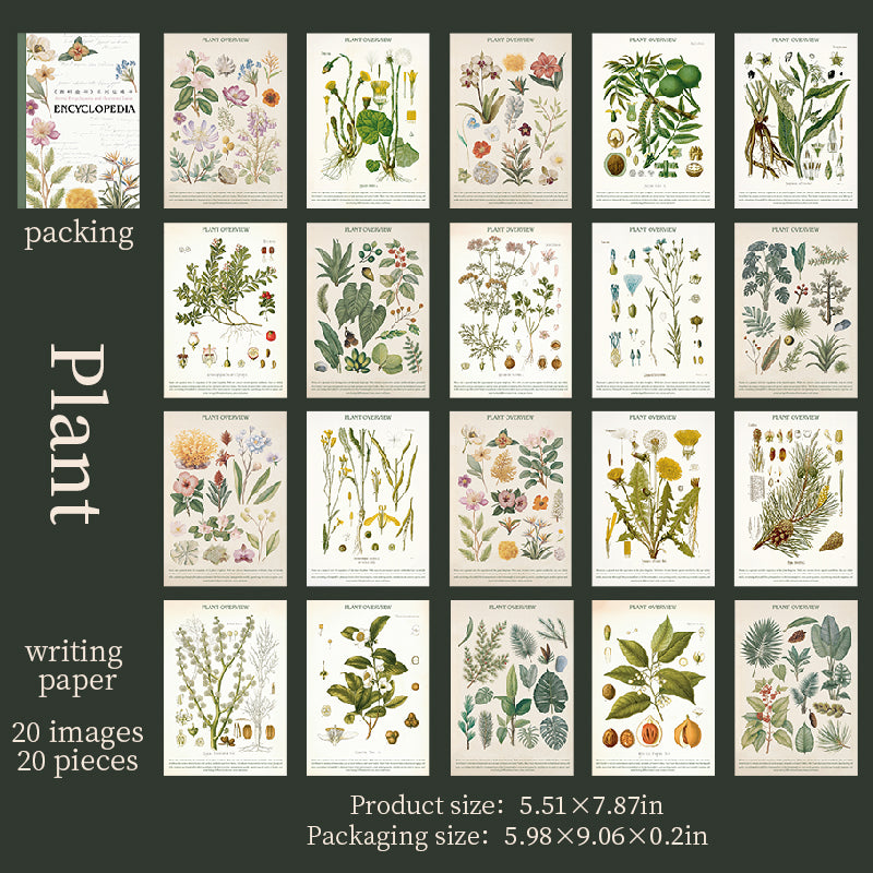 1027 Encyclopedia sticker book -20Pcs each pack