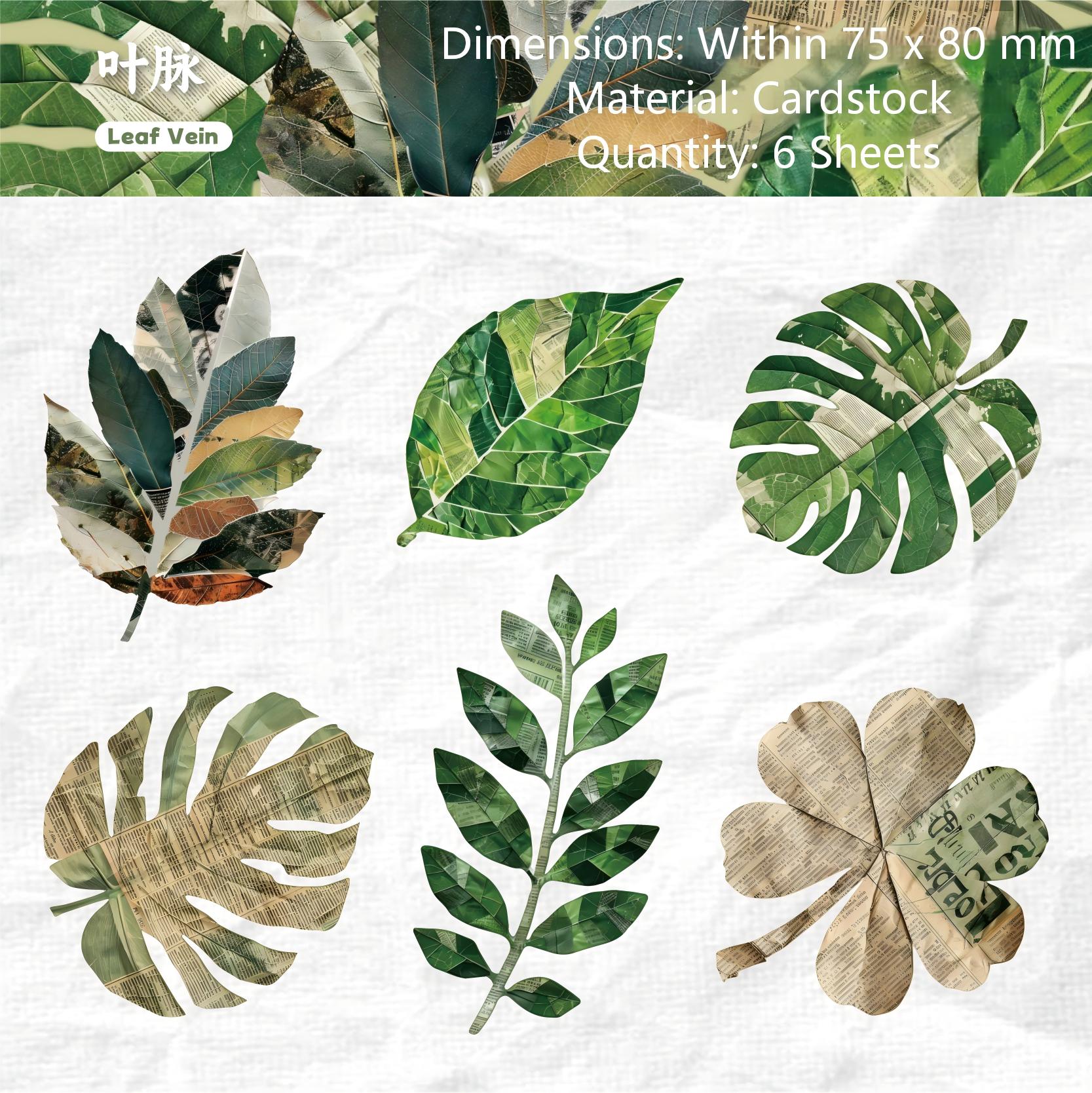 Nature Magazine cardstock Sticker -6Pcs each pack