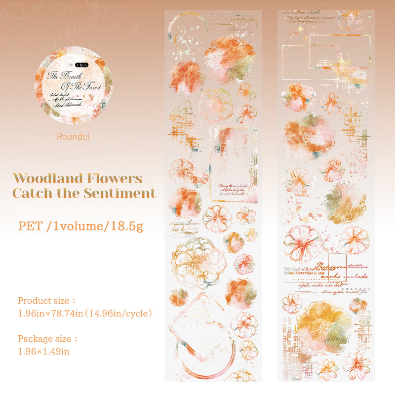 0929 Forest PET tape -5cm*2m