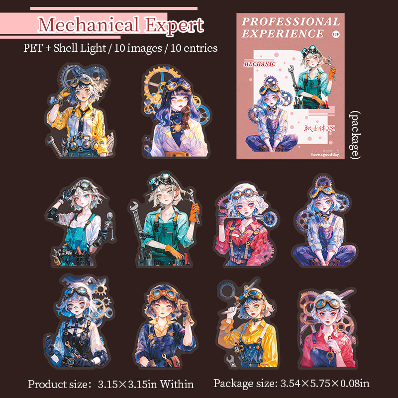 0910 Professional experience PET Sticker -10Pcs each pack