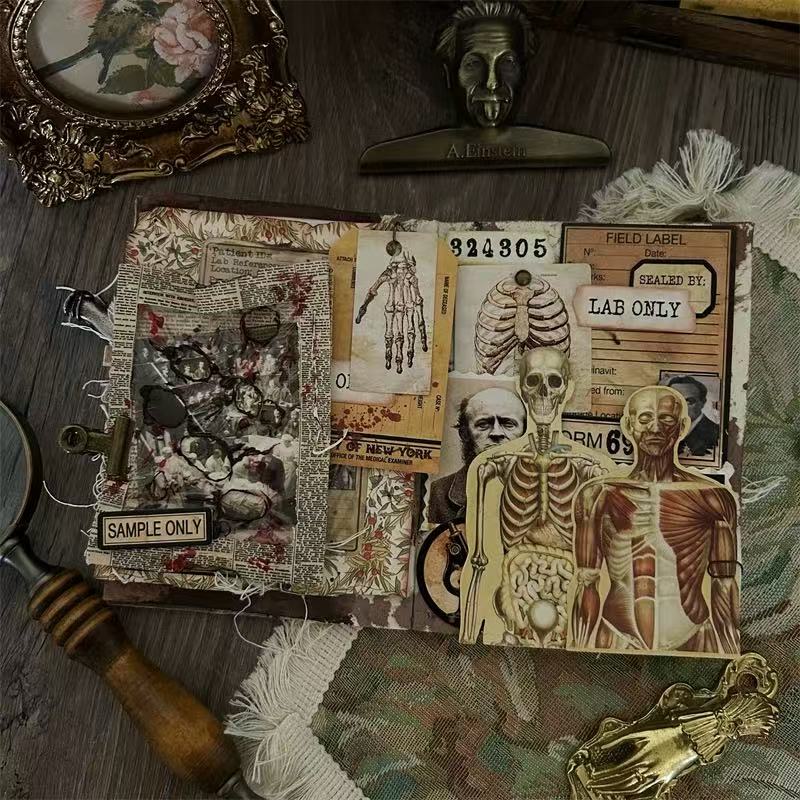 260124 Dark human anatomy card stock paper -43Pcs each pack